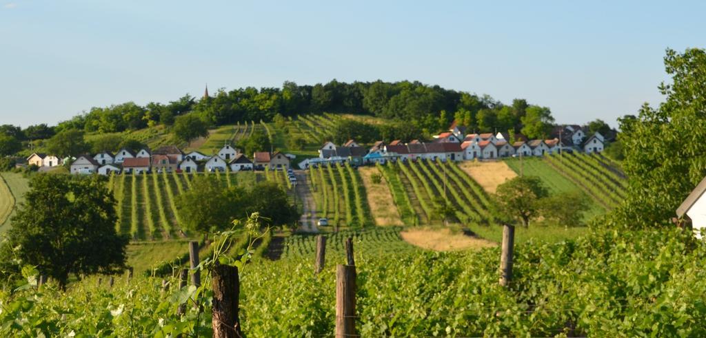 Ferienwohnung Herrmann Pottenhofen Exterior foto